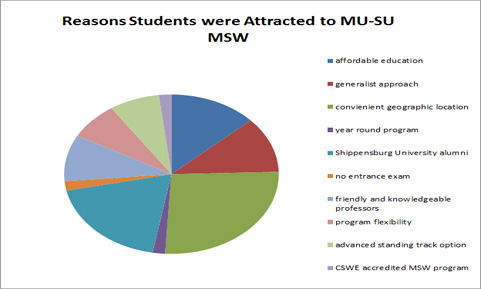 reasons msw