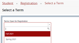 Screenshot displaying the select a term form
