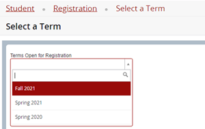 Screenshot showing the select a term form