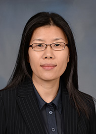 Dr. Jeonghwa Lee, Professor 
