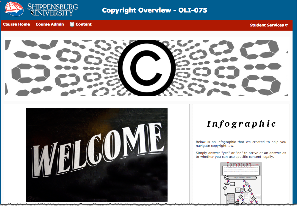 screenshot of copyright course