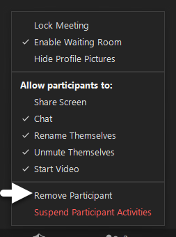 Zoom remove participant screenshot