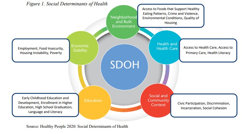 The Social Determinants of Health Infographic shows that access to healthy food, access to health care, civic participation, economic stability and education are the social determinants to health